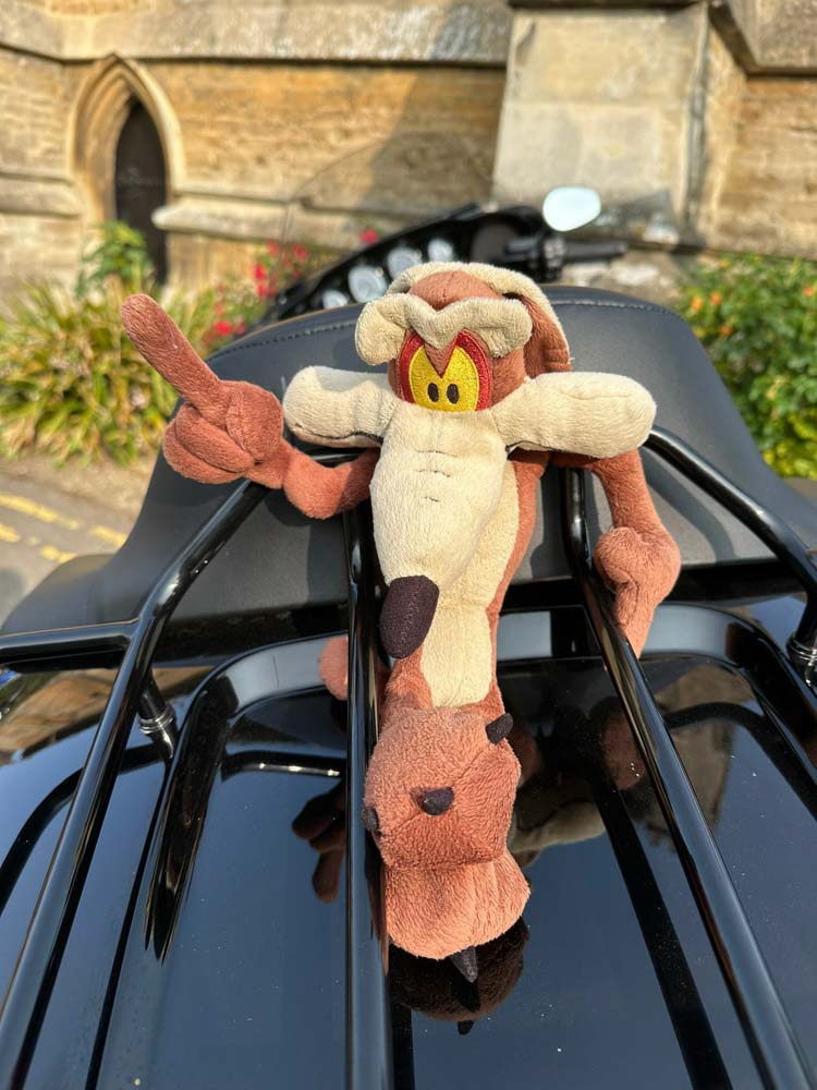 Hogsback-Rally-24-21