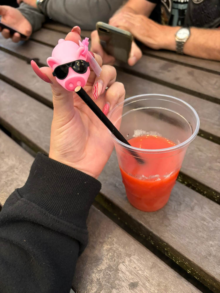 Hogsback-Rally-24-22